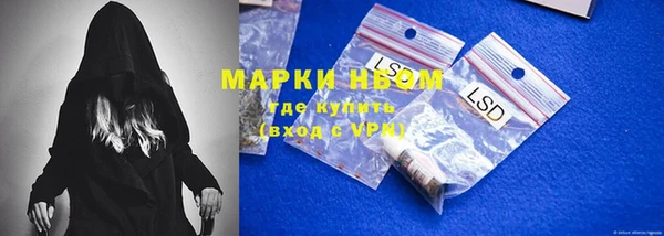 гашик Бородино
