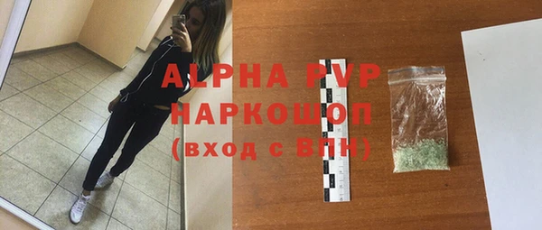 гашик Бородино