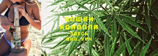 гашик Бородино