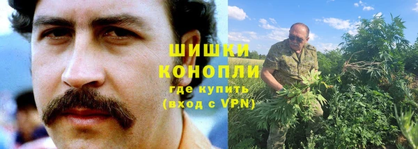 гашик Бородино