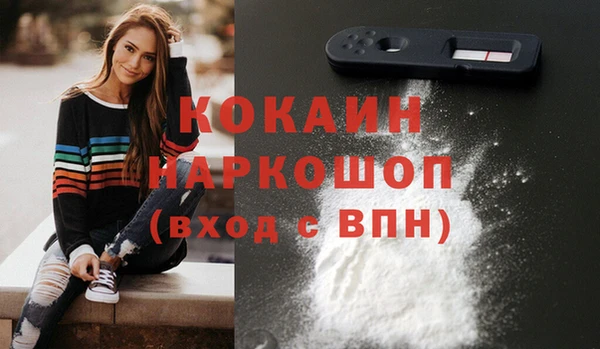 гашик Бородино
