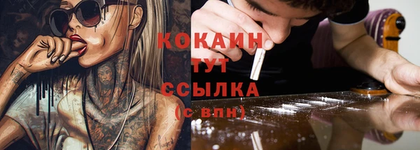 гашик Бородино