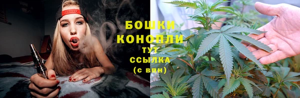 хмурый Бронницы